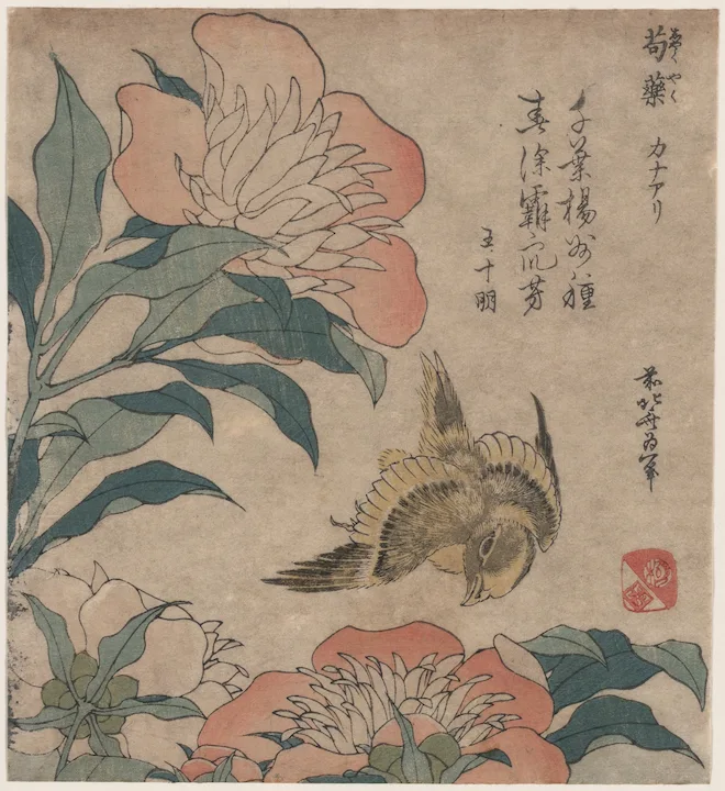 19th century Japanese lithograph of a bird in nature in browns