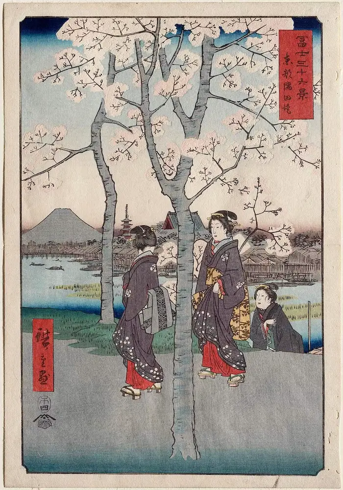 Cherry blossoms in 18th century Japanese print