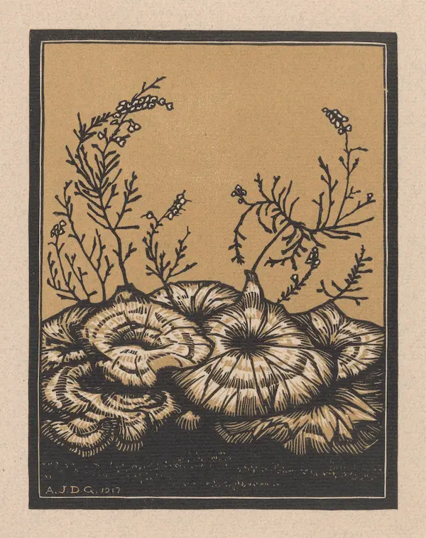 1860 drawing of a flowering plant in brown and black