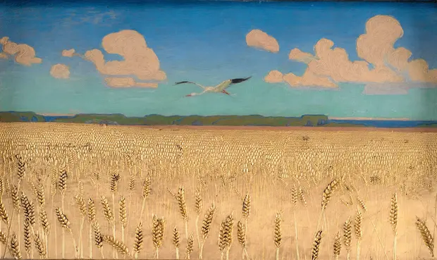 solitary long winged bird flying over a field of wheat 