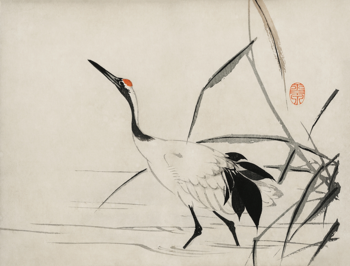 The ukiyo-e illustration of a Japanese crane by Mochizuki Gyokusen, 1891.