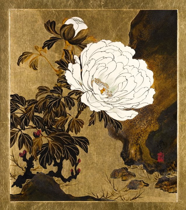 Peonies, flower illustration by Shibata Zeshin.