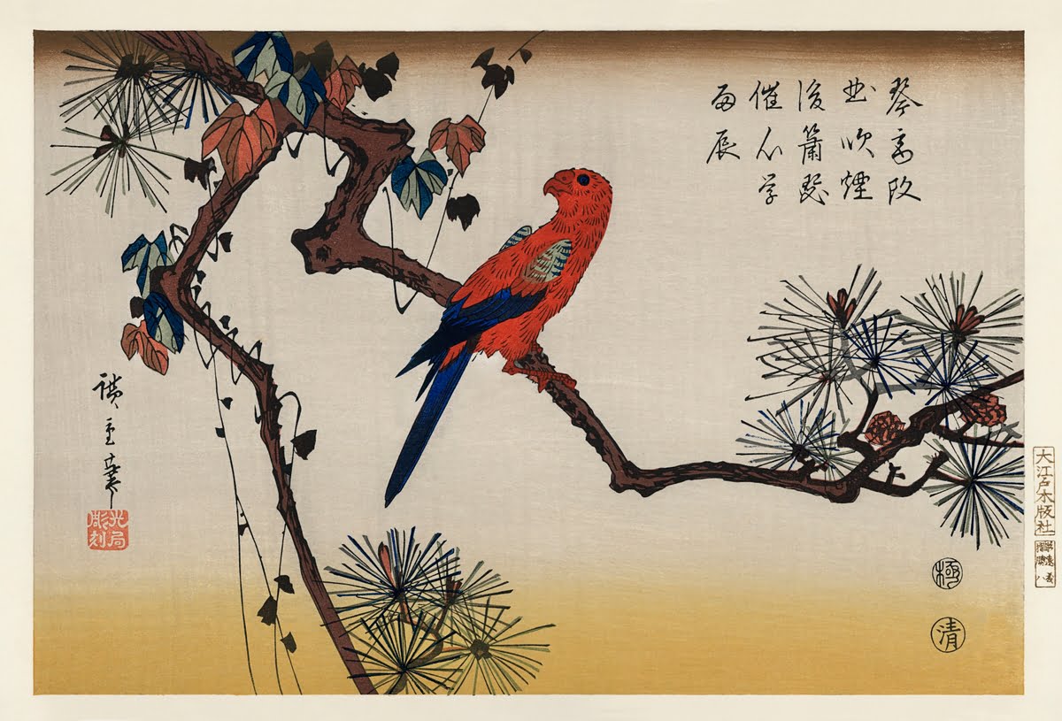 Ukiyo-e illustration, Macaw on Pine Branch by Utagawa Hiroshige, also known as Ando Hiroshige (1797-1858).